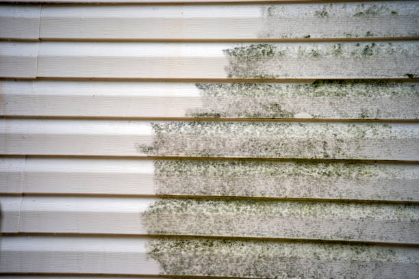 Best James Hardie Siding  in Town Creek, AL
