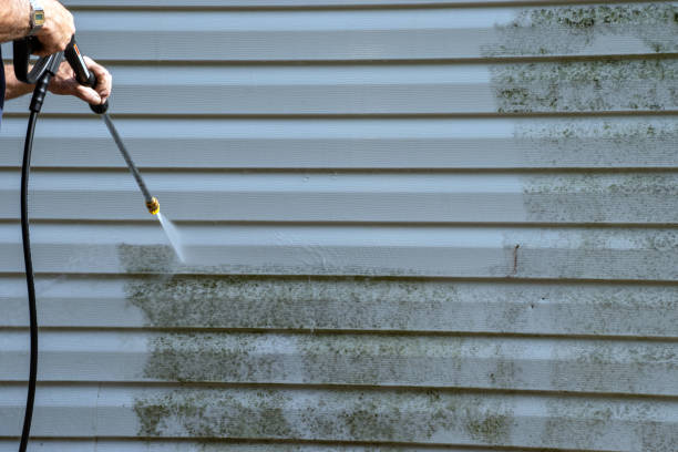 Best Brick Veneer Siding  in Town Creek, AL