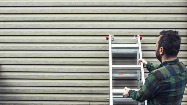 Best Steel Siding Installation  in Town Creek, AL